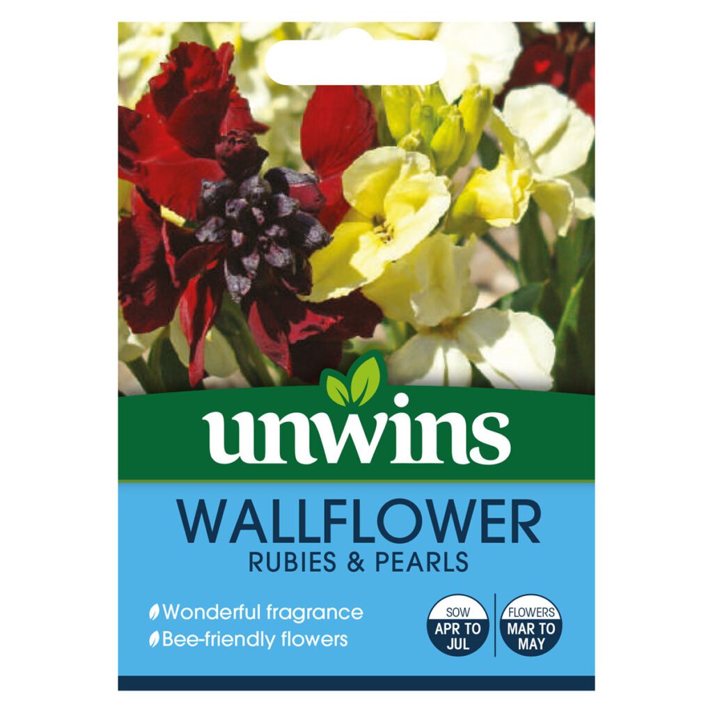 Unwins Wallflower Rubies & Pearls Seeds 5051618026413 2